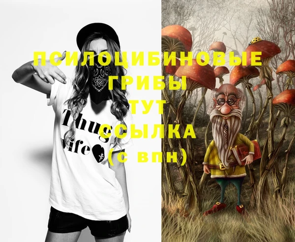 бошки Алзамай