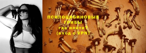 скорость Абаза